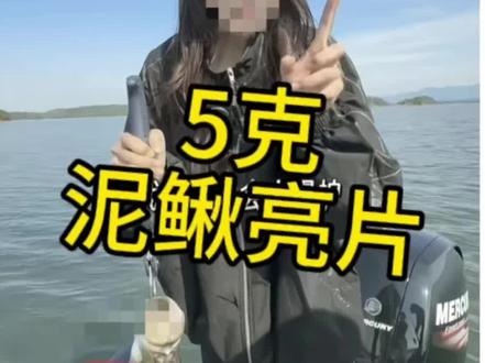 选择路亚就是选了一条空军路#泥鳅打窝
