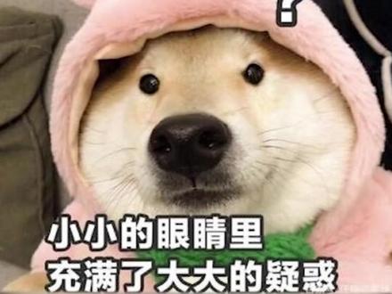 你的身上居然穿着石油?#dou是知识点#能链