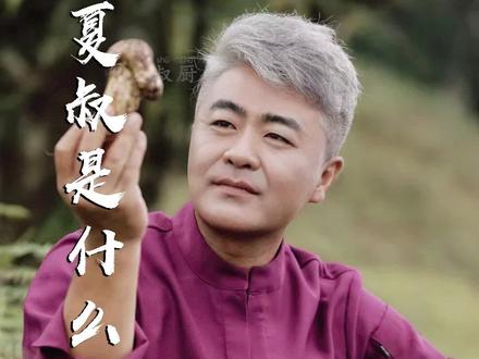 夏叔是什么级别的厨师?我是如何从国宴大厨变身百万美食博主的?全网最关心的问题!2023年你还不知道吗? #厨师 #美食 #夏叔 #夏叔厨房 #夏叔是什么级别的厨师 #妈呀太香了