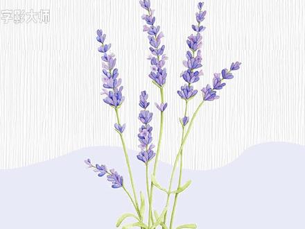 快速记忆区分:positive——negative; active——passive #每天学习一点点