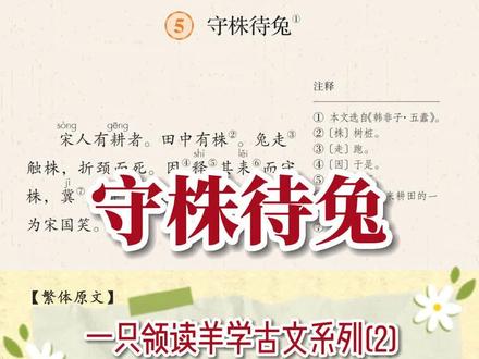 课文《守株待兔》~宋人有耕者。田中有株。兔走触株,折颈而死。因释其耒而守株,冀复得兔。兔不可复得,而身为宋国笑。#一只领读羊学古文系列 #守株待兔 #小古文学习 #小学生必背文言文