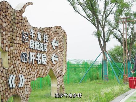 夏日牛角蝶戏花间,花田下寻觅龙虾踪迹。料汁与花雕酒的融合,为龙虾增香添味,冰镇后拆壳,享用等待已久的美味,微醺在午后的乡野。#牛角村欢乐田园度假区 #小龙虾 #原生态原滋味 #我的乡村生活 #抖音美食推荐官 #美食拍摄
