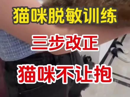猫咪不让抱?三步脱敏#养宠进阶指南 #养猫人 #养猫经验分享 #养宠知识