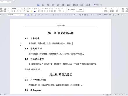 如何去掉WPS文档段落左边的符号 #word #word教程 #wps #职场 #办公室日常