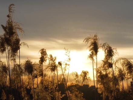 技术分析对比:华为ADS3.0与小鹏XOS5.1,谁遥遥领先? #特斯拉 #华为 #小鹏 #理想 #马斯克