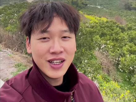 小七今天又带我们湖南和河南的大哥成功拿下一个耙耙柑果园!果农张大爷给小七打电话,他说他后悔了,应该早点听小七的话,把他的耙耙柑给出手了,当初他觉得小七在压他的价,所以一直不肯出手,就想再等等,现在张大爷想出手耙耙柑,直接就傻眼了!有喜欢耙耙柑的朋友们可以和小七交个朋友#三农#抖音助农#原产地采购#抖音助农扶农#耙耙柑