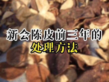 新会陈皮前3年的陈化很关键,做好这几点才有机会价比黄金哦!#优质农产品 #新会陈皮 #纯天然无添加