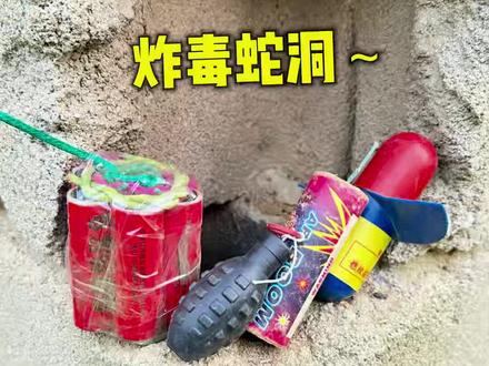 童年回忆蛇皮 #汉奇烟花