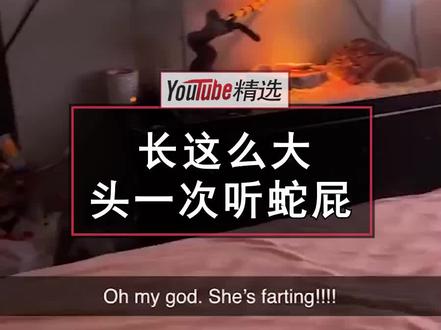 一位养有宠物蛇的小姐姐,头一次听见自家的蛇放屁,于是立刻掏出手机拍下这少见的画面。日后在野外听到有放屁声,得留个心眼儿了,或许不是人发出的#宠物 #趣闻 #涨知识