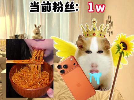 猪妞吃播第十一集,你会支持猪妞嘛! #猪妞小剧场 #猪妞 #猪妞日常