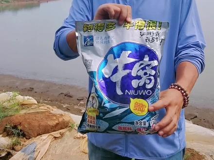 自称钓的多牛得很,西部风牛窝实测,供钓友参考#饵料窝料 #钓鱼技巧 #鱼饵 #钓鱼