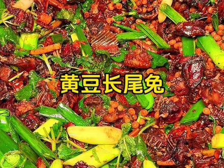 黄豆炒长尾兔简直就是下公文包的天花板!一口黄豆一口水果捞,再喋一块肉,太过瘾啦!#青年创作者成长计划 #三农 #农村黄煮任 #乡村美食 #广西公文包