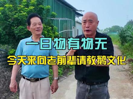 今天来老前辈鹅场学习交流#狮头鹅 #潮汕美食