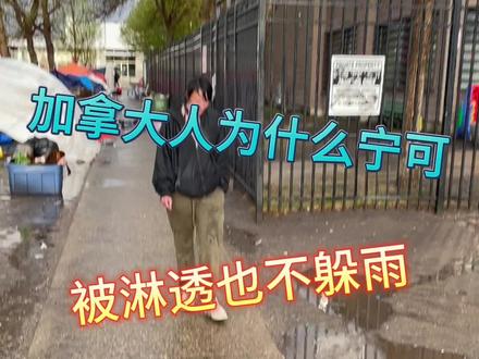 在加拿大下雨天打伞犯法,宁可浑身湿透也得用脑袋接着雨水#vlog我的日常 #海外生活 #奇葩