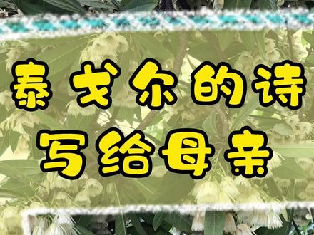 泰戈尔写给#母亲 的#诗歌