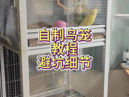 仅是个人自制遇到的问题,不代表所有人。关于托盘实际比鸟笼小的问题,我也在里面放了透明板,但还是觉得不是很好。另外门和托盘安装好置物架之后,就可以量好定制了,等做差不多再去定制,快递时间等等问题,又浪费很多时间。网片插进缝里,网片的厚度2.7以内就差不多了,太厚不够力气真的很难插进去#自制鸟笼#牡丹鹦鹉#萌宠出道计划
