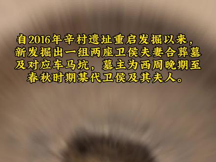 河南辛村遗址多项重大考古新发现。#河南