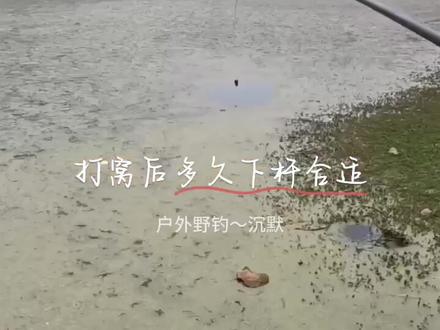 打窝后多久垂钓最合适#钓鱼 #钓鱼技巧 #钓鱼人