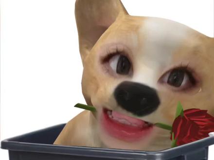 太刺激了,等反转,全部证据没出现之前,我保持中立#小郑嘻嘻 #一天 #情侣博主 #开放性婚姻 #山东