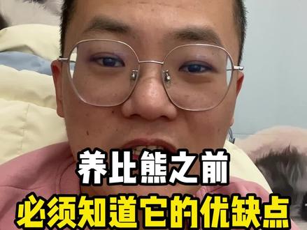 养比熊 一定要先知道它的优缺点#养宠知识 #比熊 #养狗经验分享