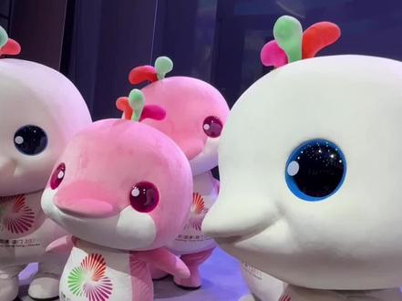 小湾鸡会蹲下站起来了,前天的还很呆呆的,进度神速,好萌好萌
#小湾鸡 #大湾鸡#萌动奇迹 #迷你大湾鸡 #广州杂技