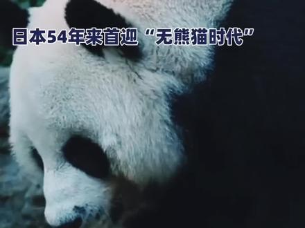 旅日大熊猫“晓晓”“蕾蕾”1月27日提前回国 。 当地时间2026年1月27日,旅日双胞胎大熊猫晓晓与蕾蕾从东京上野动物园启程回国,比原计划的2026年2月返还期限提前约一个月,系东京都与中方协商后的安排 。这对2021年6月23日出生的大熊猫,是父母“比力”“仙女”(2024年9月已回国)的幼崽,其姐姐“香香”也于2023年2月返回中国 。它们的离开,标志着日本自1972年中日邦交正常化以来首次全国无大熊猫饲养 。