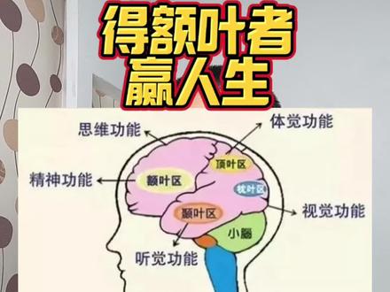 得额叶者 赢人生 前额叶皮层(Prefrontal Cortex, PFC)是我们大脑的“CEO“,类似于‘CPU + 内存 + 搜索引擎’的综合体(其实它的功能要复杂得多)。它负责所有高级认知功能,包括高级思考、逻辑推理、情绪控制、决策制定,并使我们能够在世界中有效地运作。
坦白说,成年人的人生道路上充满了需要做出重要选择的岔路口,一个选择,就是一个未来。在复杂的社会环境和不断变化的未来中,我们需要依靠前额叶皮层作为导航,来应对纷繁的人际关系、权力博弈以及与日俱增的不确定性。
前额叶约占大脑前部空间的1/3,位于额头后方,额叶的前部,有广泛的联络纤维,与决策、计划、记忆、注意力、判断、抽象思维、情感和冲动行为有关。是“神经枢纽”,可以整合全脑,跨区域协同不同脑区间功能。其发育关键期从幼儿期持续至25岁左右。保护好孩子的前额叶,需要从生理发育、心理支持和生活方式等各方面入手。#脑科学 #科普 #教育 #育儿 #知识分享