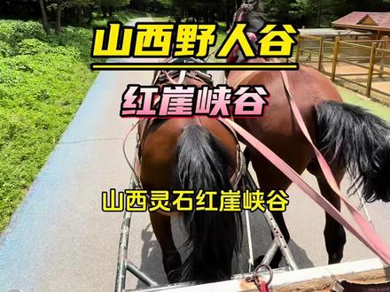 山西野人谷 灵石红崖峡谷景色挺美,暑期带上家人来打卡#红崖峡谷#山西野人谷 #红崖门票 #红崖峡谷门票 #山西避暑好去处