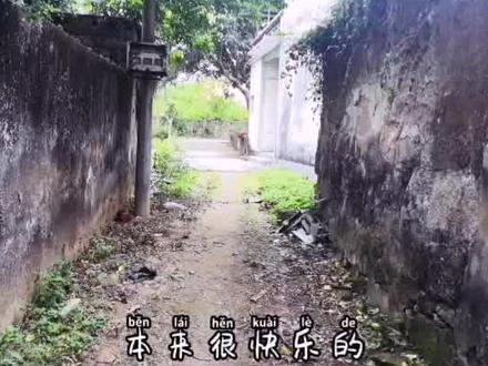 分享一道潮汕特殊色野菜:珍珠花菜瘦肉汤。#潮州小吃