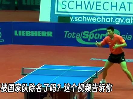 张继科被国家队除名了吗?为何许久不上赛场 #张继科借条 #张继科景甜