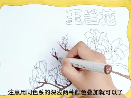 美的不像话,植物观察系列终于快更新完了。 #手抄报模板 #手抄报 #玉兰花 #植物名片手抄报 #植物观察手抄报