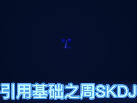 算法0051 引用基础---引用周SKDJ