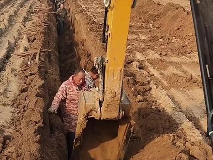 挖机挖山药是不是大材小用#工程机械设备 #挖机视频