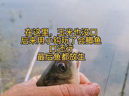 听说黄壁庄涨水了,到底成啥样了,第一视角带你走一遍牛城沟#钓点分享 #2022dou来钓鱼 #黄壁庄水库