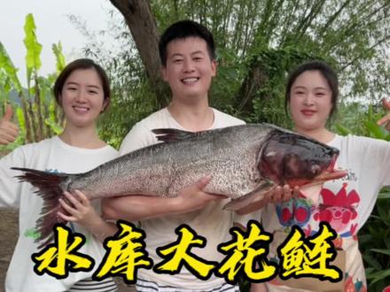 姐夫抱来一条30斤的大花鲢,那必须安排个一鱼三吃撒!#川菜 #农村美食