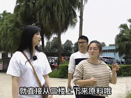 嗨!我猜你们很多人都喝过八角亭的茶,但肯定没有去过八角亭黎明茶厂!今天跟着我和表哥一起去看看吧。八角亭黎明茶厂是一个很大的国营茶厂,占地500亩左右,这里不少流程都实现了机械化,还有不少新兴技术。想了解就点进来吧!#茶知识 #八角亭茶厂