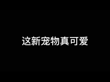 有点可爱,就是不太聪明#和平精英 #叶子