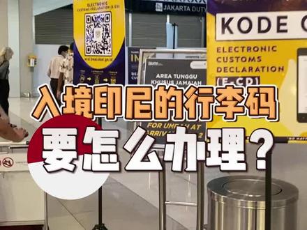 印尼入境海关码申报流程💐#入境印尼
