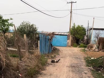 路过看见俩猫打架,蓝猫腿短不占优势!打不过狸花,以后养猫就要狸花,打架第一名🥇#动物趣事 #猫咪 #猫猫