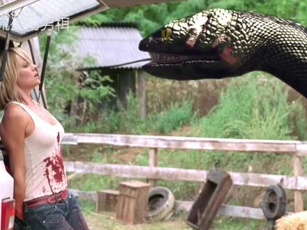 转身遇到大黑蟒,看美女如何逃脱。。。 #这个视频有点抖 ##怀念经典 #电影剪辑 #狂蟒之灾3