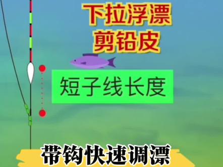 最简单的调漂方法!#钓技钓法 #经验分享 #调漂技巧 #钓鱼