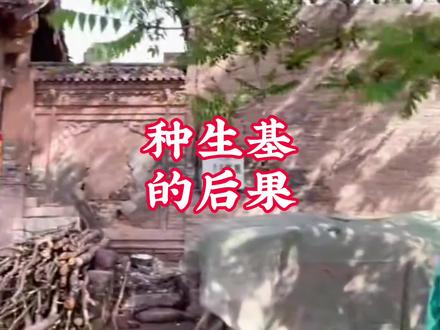 #中视频伙伴计划 种生基的后果 #民间故事 #抖音二创激励计划 #抖音创业 #抖音