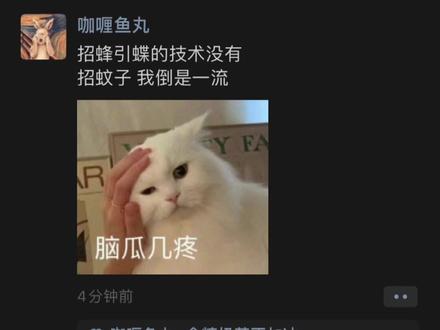 招蜂引蝶的技术没有
招蚊子 我倒是一流