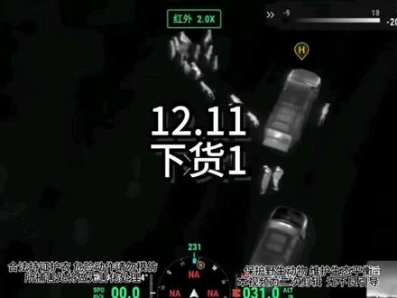 12.11秒下第一头#拿捏 #拿捏战队 #实战猎犬 #护农狩猎队 #刀猎 @拿捏 @拿捏 @拿捏战队斌哥 @拿捏护农子龙