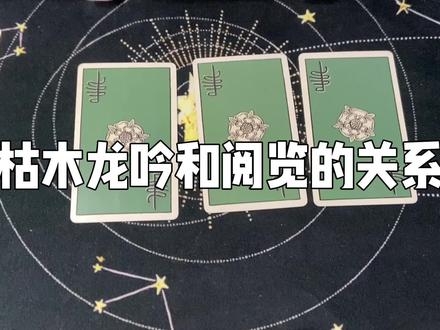 枯木龙吟和阅览的关系素#塔罗#枯阅
