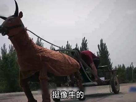 发明项目:机械牛 #我爱发明 #科学实验 #纪录片