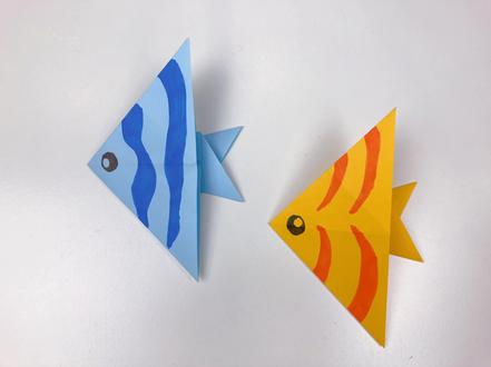 好玩儿的折纸燕鱼🐟 #折纸 #燕鱼 #青少年知识引路人 @抖音小助手