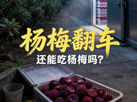 泡了防腐剂的杨梅你敢吃吗!700年地标口碑一夜崩塌,背后真相让人细思极恐
漳州杨梅泡防腐剂事件震惊全网,很多人说再也不敢吃杨梅了。但这件事背后有一条逻辑链,把它捋清楚了你才知道该怕什么、不该怕什么。违规为什么反复发生?冷链缺失才是根子。同样是杨梅,浙江果农半夜采摘、凌晨冷链发货,当天就能端上外省餐桌,人家根本不走歪路。一个人犯了错,整个产业一起扛,这个账该记在谁头上?还有,泡过药水的杨梅入口发粘、有怪味,学会分辨比什么都强。
#食品安全 #社会现象 #消费者权益 #三农 #漳州杨梅