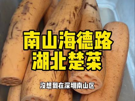 深圳南山宝藏湖北餐厅 #比会吃更惠吃 #湖北菜 #深圳美食 #地方特色美食 #抖音心动餐厅