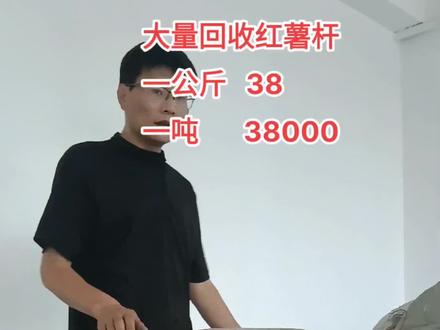 回收红薯杆是真的还是假的,先了解红薯杆的用途!#红薯杆